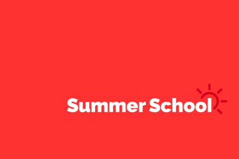 SummerSchool_hoek2